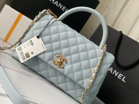 Chanel Medium Flap Bag with Handle Fashion