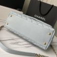 Chanel Medium Flap Bag with Handle Fashion