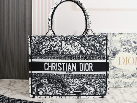 Bag Dior Shopping Online now