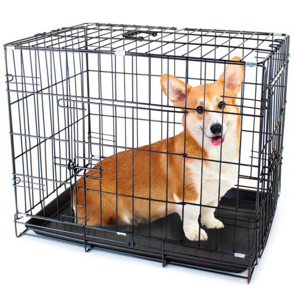 42  X-LARGE Dual-Door Folding Pet Crate with Removable Liner For Cheap