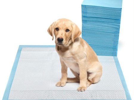 XL Super Absorbent Potty Pads, 50-count Discount