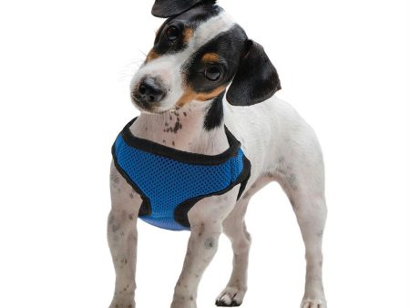 Small Blue Soft n Safe Dog Harness Online now