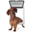 Medium Breed Pet Door with 11  x 9  flap opening Hot on Sale