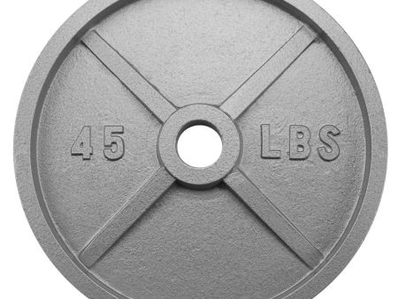 45lb Olympic Style Iron Weight Plate Sale