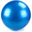 65cm Blue Exercise Ball with Foot Pump Discount