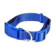 Large Blue Adjustable Reflective Collar Online now